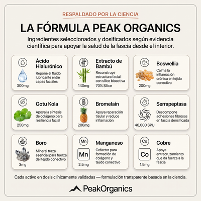 PeakOrganics® Fascial Release