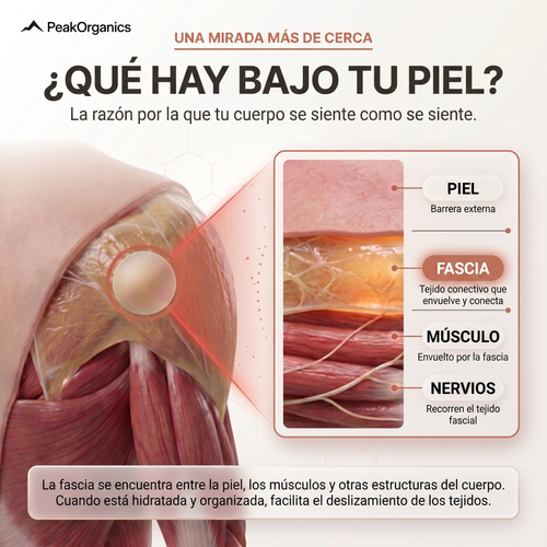 PeakOrganics® Fascial Release