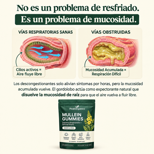 Elimina la mucosidad acumulada y recupera la facilidad para respirar en solo 7 días