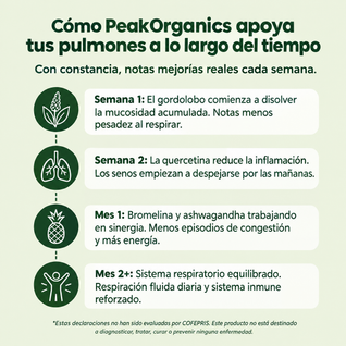 Elimina la mucosidad acumulada y recupera la facilidad para respirar en solo 7 días